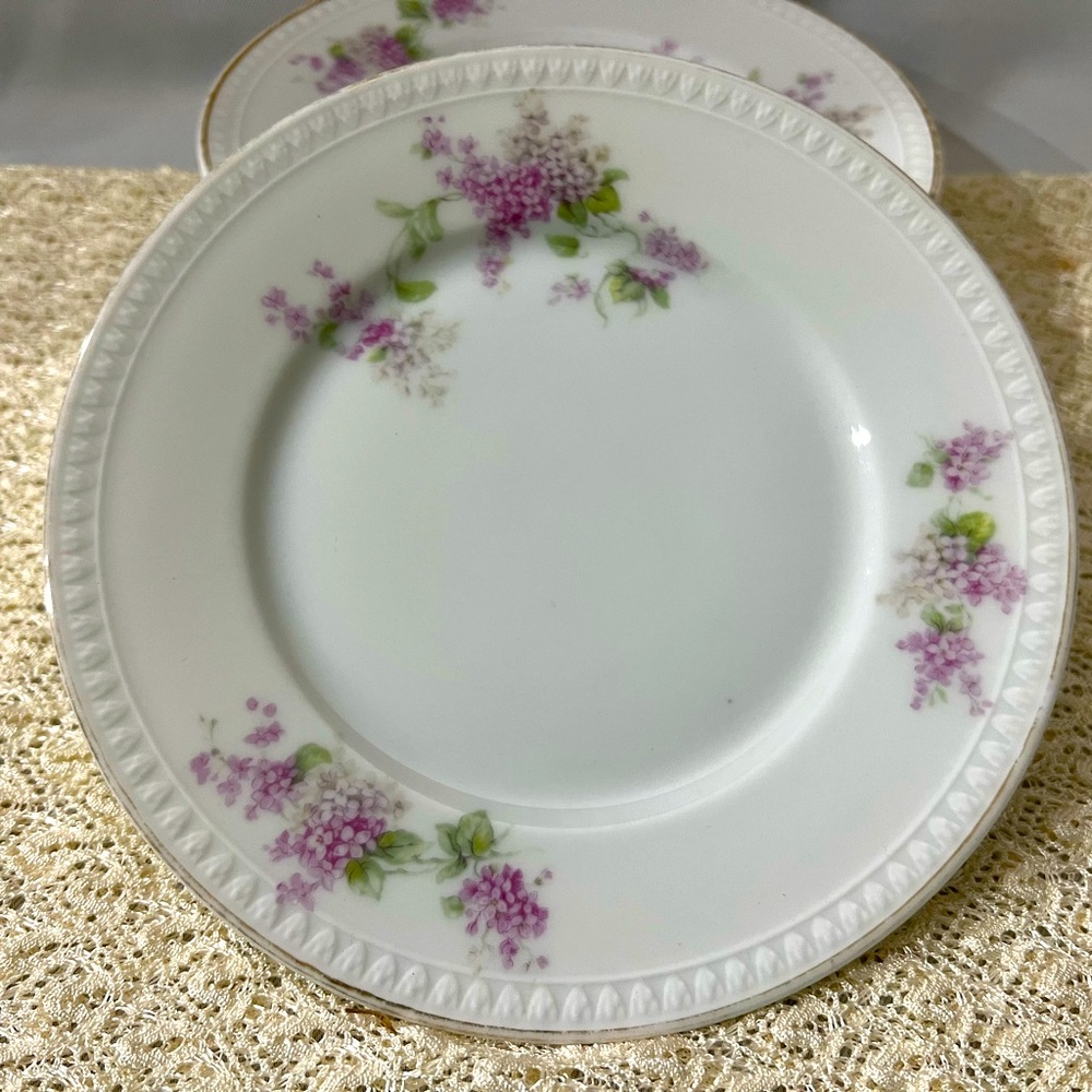 Vintage fruit plates (5 pieces)